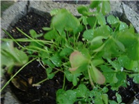 d9608b59-Picture 512.jpg